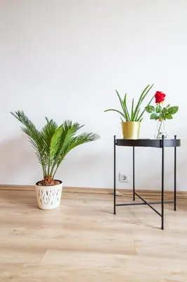 Grundriss der Unterkunft Central Vienna Suite - Authentic Comfort, Self Check-In, AC and Netflix