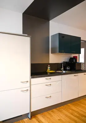 Küche/Küchenzeile in der Unterkunft Modern Suite Schönbrunn