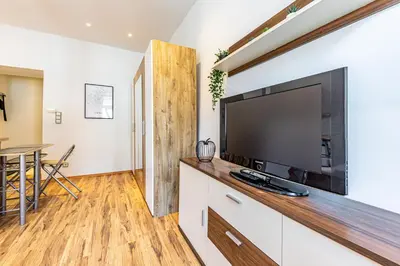 TV/Unterhaltungsangebot in der Unterkunft COZY + TRENDY by JR City Apartments