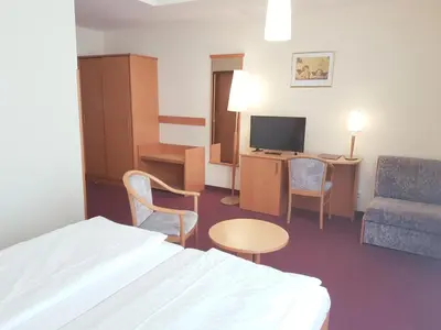 TV/Unterhaltungsangebot in der Unterkunft Hotel Haydn