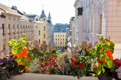 Ein allgemeiner Blick auf Wien oder ein Stadtblick von des Hotels aus