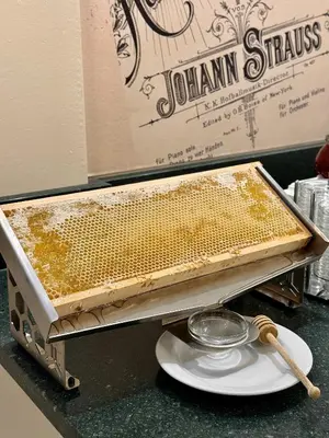 Grundriss der Unterkunft Hotel Johann Strauss
