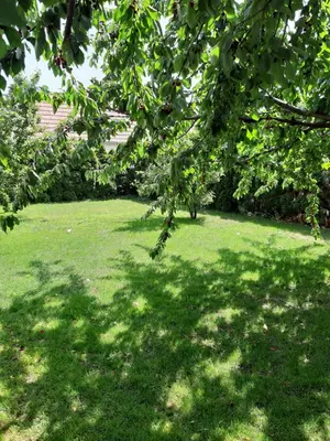 Ein Garten an der Unterkunft Eisenstadt Apartments