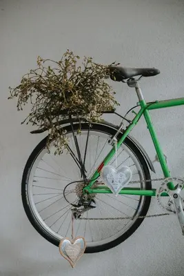 Radfahren an der Unterkunft Boutiquehotel Stadthalle by Cocoon oder in der Nähe