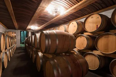 Grundriss der Unterkunft Weingut Franz Schindler