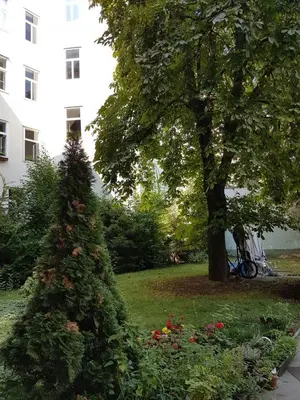 Ein Garten an der Unterkunft Live Centrally in a Spacious and Modern Apartment in Vienna