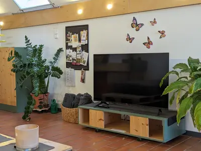 TV/Unterhaltungsangebot in der Unterkunft Bonito - Historischer Streckhof
