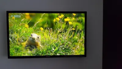 TV/Unterhaltungsangebot in der Unterkunft Pension Diana-Parndorf