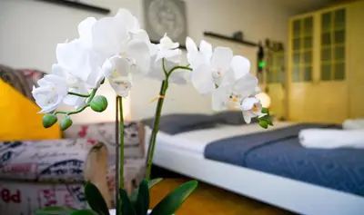 Grundriss der Unterkunft Cozy Apartment Margareten