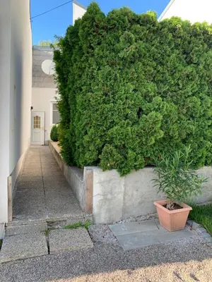 Grundriss der Unterkunft revLIVING Haus Clara am Berg mit kleinem Garten