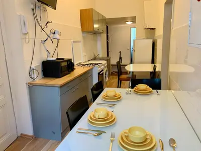 Küche/Küchenzeile in der Unterkunft Raisa Apartments Lerchenfelder Gürtel 30