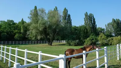 Tiere in diesem Bauernhof oder in der Nähe
