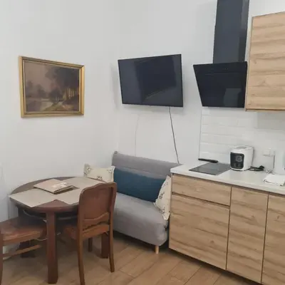 TV/Unterhaltungsangebot in der Unterkunft Villa Musik - apartments in historical Villa , Baden