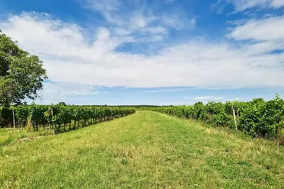 Naturlandschaft in der Nähe der Ferienwohnung