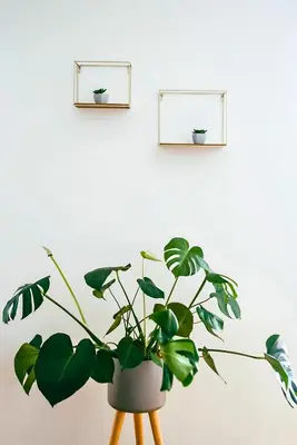 Grundriss der Unterkunft Family Suite