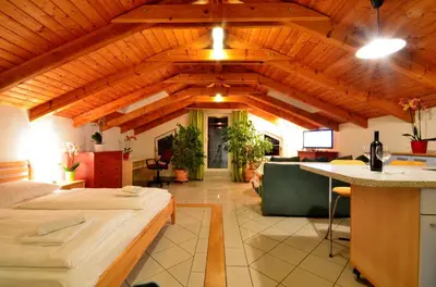 TV/Unterhaltungsangebot in der Unterkunft AJO Apartments - Alte Donau Lake View Penthouse - Self-Check-in