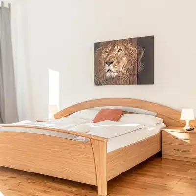 Lovely 3 private rooms in shared Apt Near Belvedere