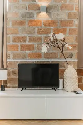 TV/Unterhaltungsangebot in der Unterkunft easy-flat Severingasse - Stylish 73sqm Apartment near Park and Tram