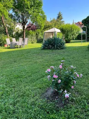 Ein Garten an der Unterkunft Appartment Rosengarten