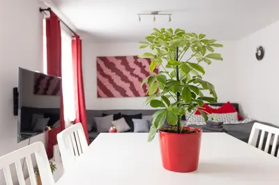 Grundriss der Unterkunft NEW ShalalaLiving Vienna - Lovenest or Workspace near Schönbrunn BG
