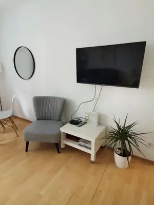 TV/Unterhaltungsangebot in der Unterkunft Central Alpha Apartment 7min to the city centar