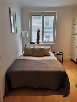 Ein Bett oder Betten in einem Zimmer der Unterkunft Central Alpha Apartment 7min to the city centar