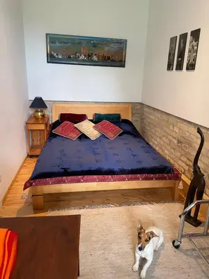 Ein Bett oder Betten in einem Zimmer der Unterkunft Nationalpark Lobau Wohnung