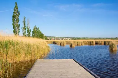 Naturlandschaft in der Nähe der Ferienwohnung