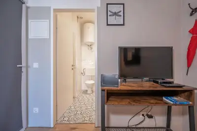 TV/Unterhaltungsangebot in der Unterkunft City Center Lofts