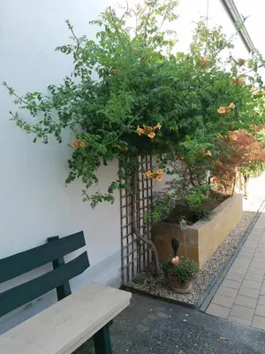 Ein Garten an der Unterkunft Ferienhaus Savannah
