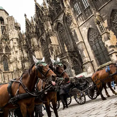 Reiten in der Ferienwohnung oder in der Nähe