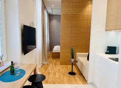 TV/Unterhaltungsangebot in der Unterkunft ZEUS Design Apartment Erlach #62