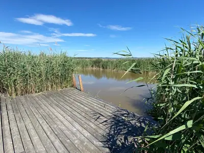 Naturlandschaft in der Nähe des Ferienhauses