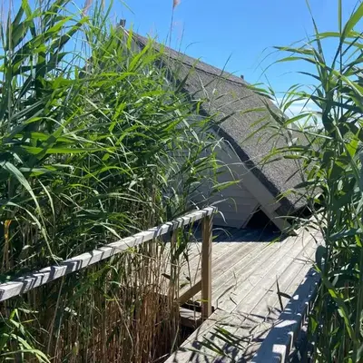 Seehütte Neusiedlersee - Waterfront 2
