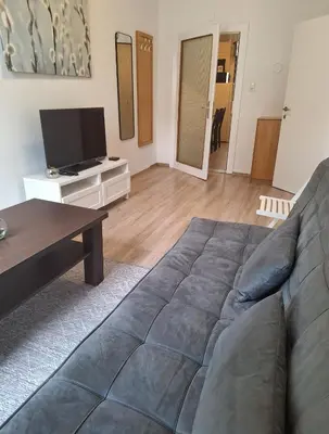 TV/Unterhaltungsangebot in der Unterkunft Apartment RITHEL