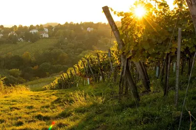 Naturlandschaft in der Nähe der Ferienwohnung