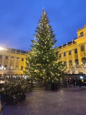 Grundriss der Unterkunft Central Mariahilfer Apartment 4 min to the city shopping center and Schönbrunn Palace
