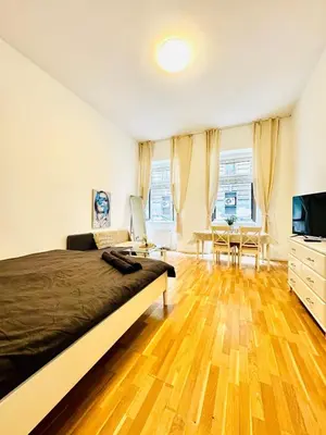TV/Unterhaltungsangebot in der Unterkunft Cozy Studio Apartment 15 Min from Rathausplatz