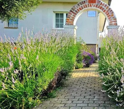 Ein Garten an der Unterkunft Dreamly Suites