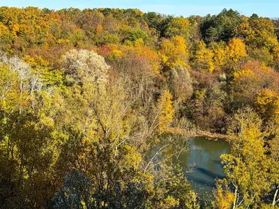 Naturlandschaft in der Nähe der Ferienwohnung