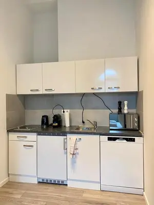 Küche/Küchenzeile in der Unterkunft Central Apartment in Vienna near metro (800m) - T21
