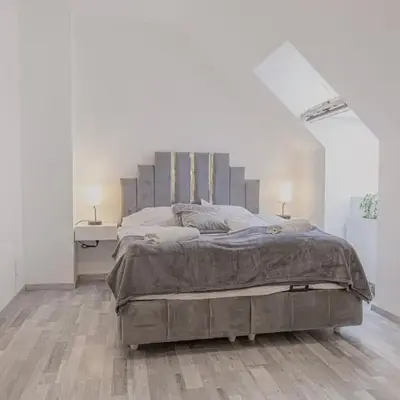 Spacious 2BR & 1LR Apartment Very Central in Vienna