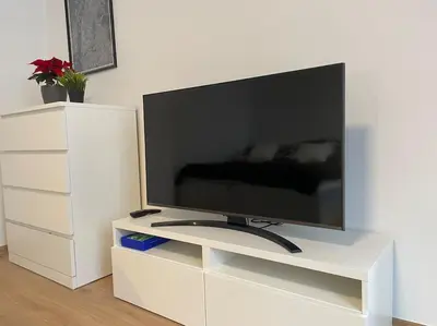 TV/Unterhaltungsangebot in der Unterkunft Charming Apartment near City Center