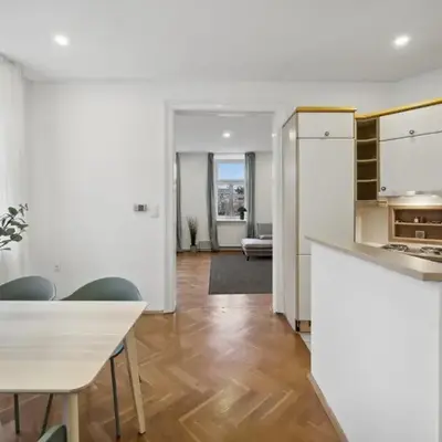 Big spacious central apartment in Vienna
