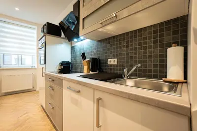 Küche/Küchenzeile in der Unterkunft Brand-new apartment in the 17th district of Vienna