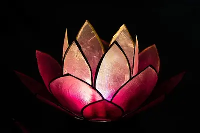 Grundriss der Unterkunft Pink Lotus Apartment