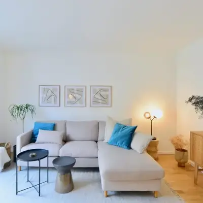 Cozy Design Apartment