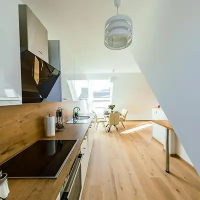 New Design Penthouse and Apartments