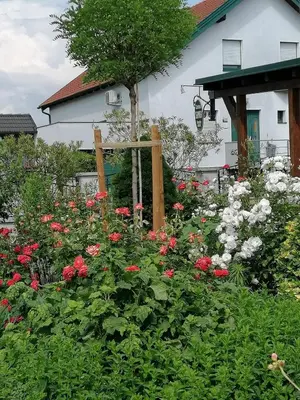 Ein Garten an der Unterkunft Gästehaus Samira