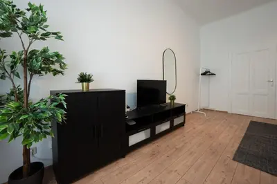 TV/Unterhaltungsangebot in der Unterkunft Lovely 1-bedroom apartment next to Praterstern